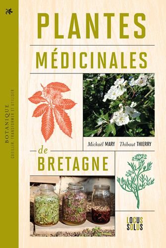 Plantes médicinales de Bretagne